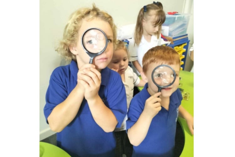 Students using magnifying glasses