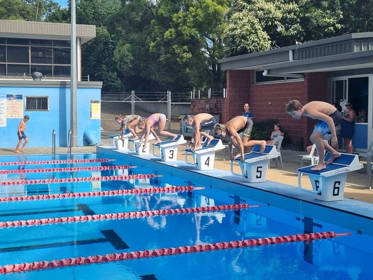 Students about to dive from blocks at swimming carnival