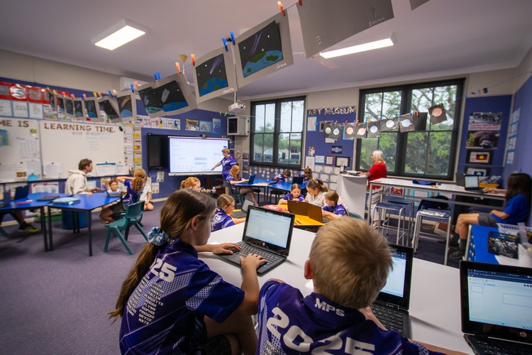 Senior students working in class from their laptops